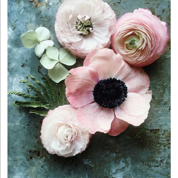 Meet your Posher, Aris - Picture 1 of 1